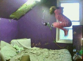 Клубничка :)