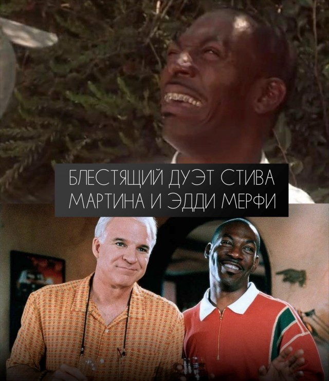 Стиву Мартину 81
