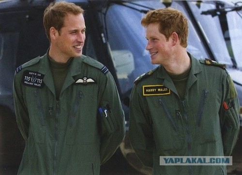 О! Знакомые всё лица!