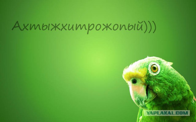 Как зеленку раздают
