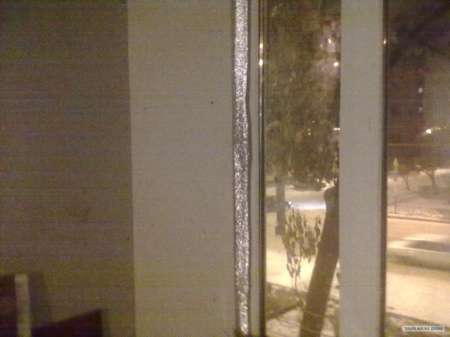 Какое жилье предоставляют сиротам