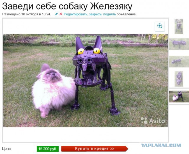 Он не похож на обычных собак, но все еще очаровывает каждого встречного