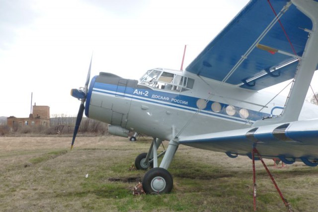 Я узнал, что у меня есть огромная семья