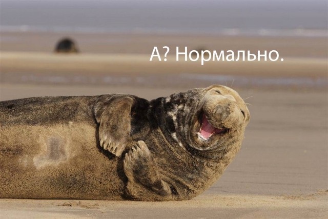 Подборка интересных и веселых картинок