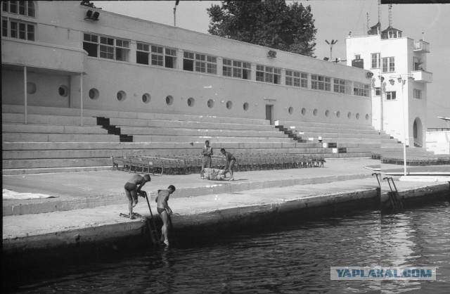 Надежда на Теорию Шести Рукопожатий или история потеряного фотоаппарата.....