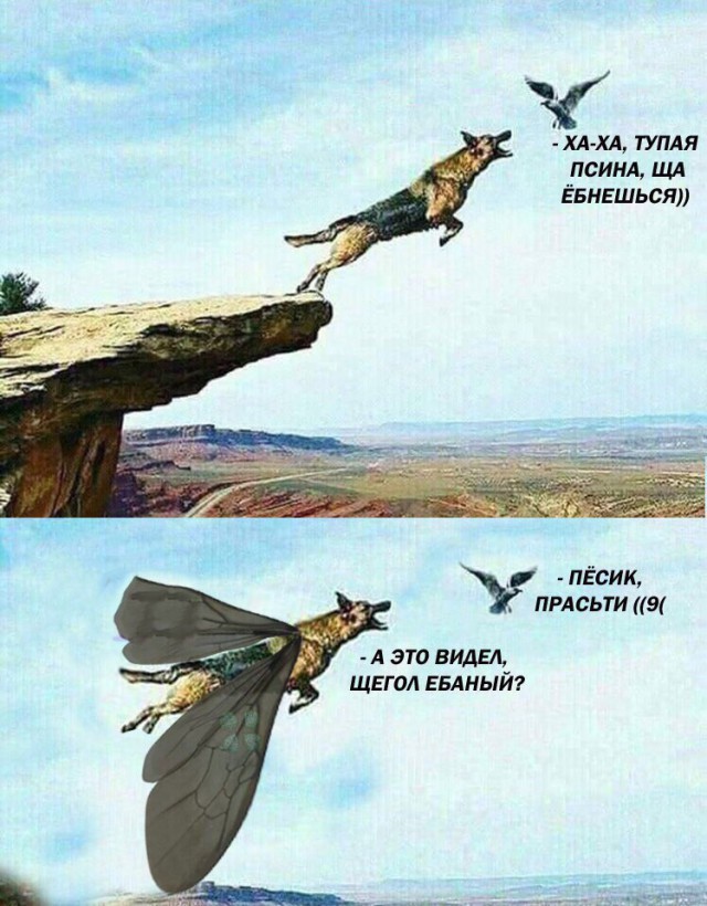 Странный юмор