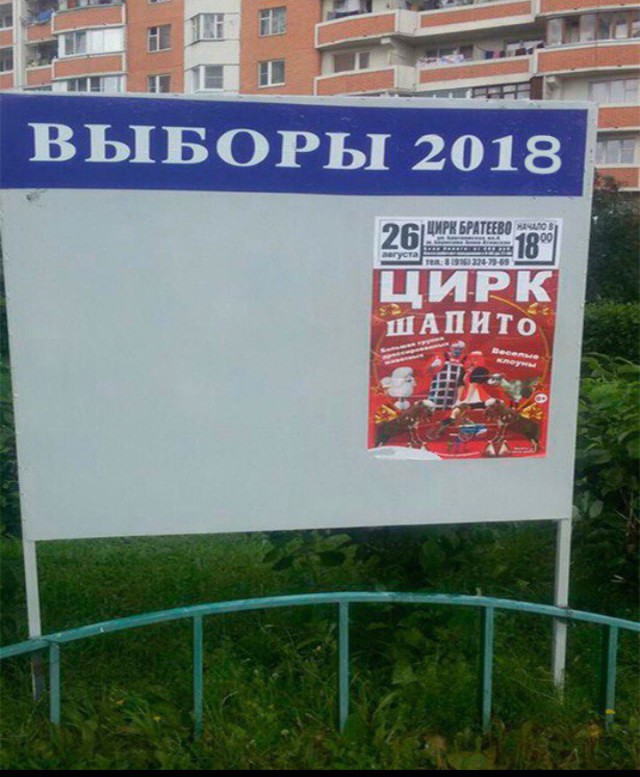 Порнозвезда Елена Беркова будет баллотироваться в президенты России