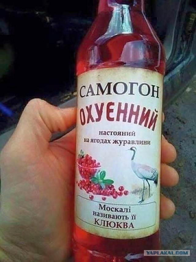 "Синяя коллекция". Алкоголя пост.