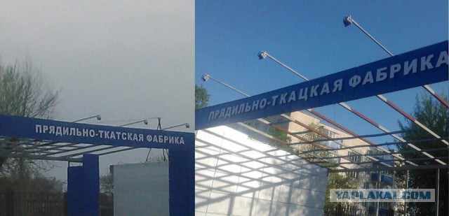 Законопроект о защите чувств грамотных