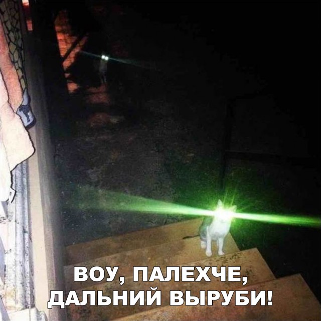 Прикольные картинки абавсём