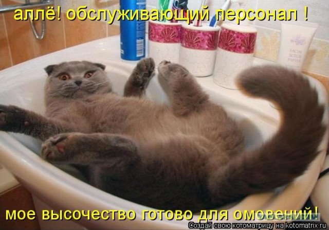 Че уставился? Давай мой