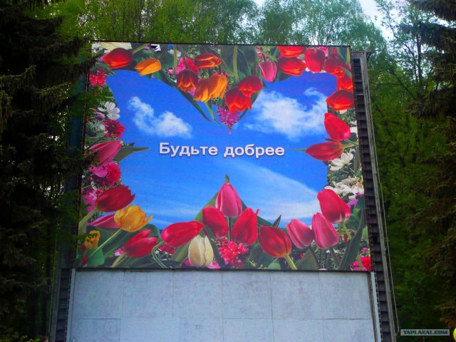 любительская фотография