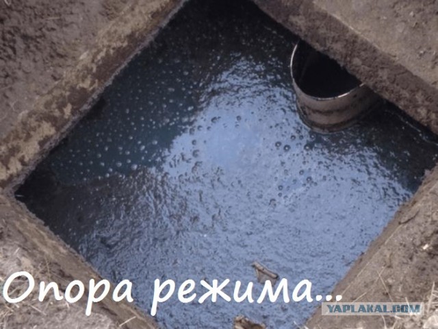 Российская газета про Устинова и Росгвардейца