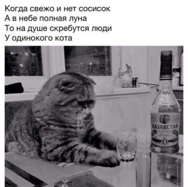 Бредзона 12.01.2020