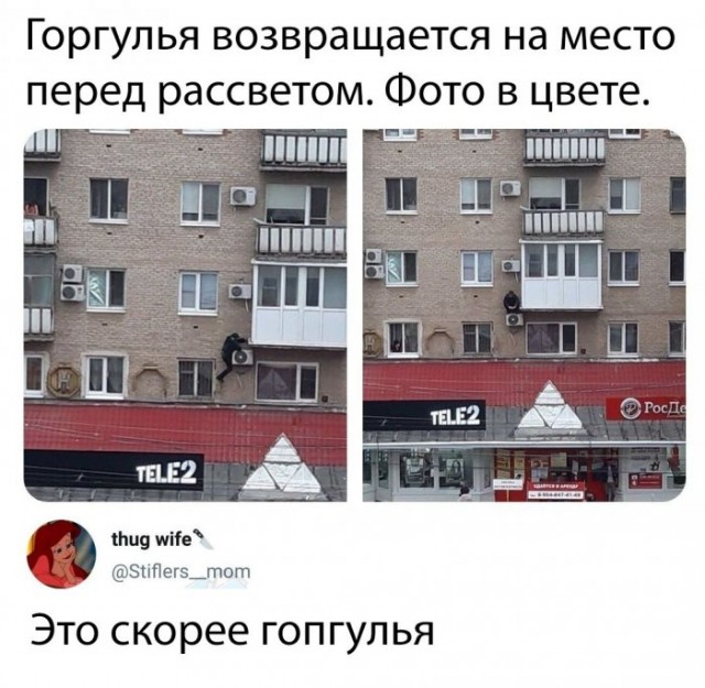Немного картинок для настроения 17.05.20