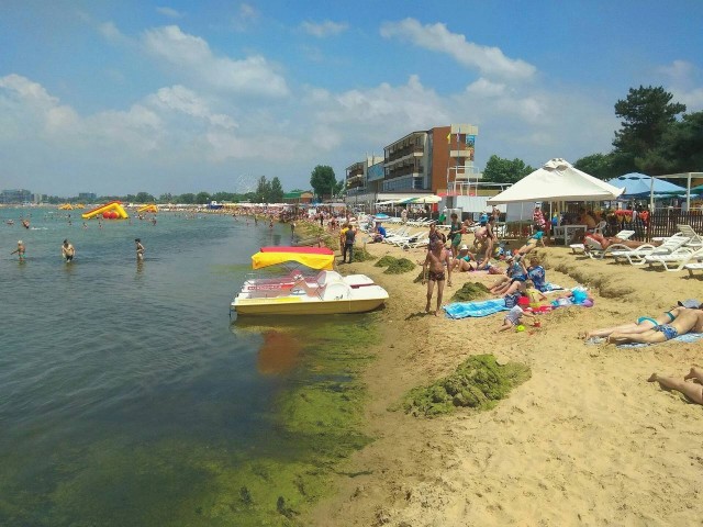 Ну, кто ещё отдохнуть на родине планирует?