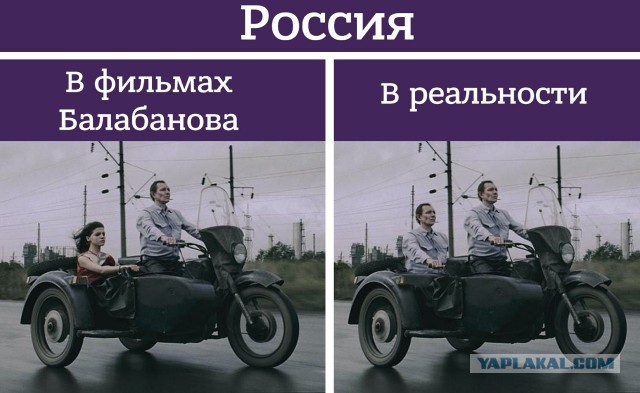 Питерский скрипач (либеральный активист-русофоб) задержан по подозрению в педофилии