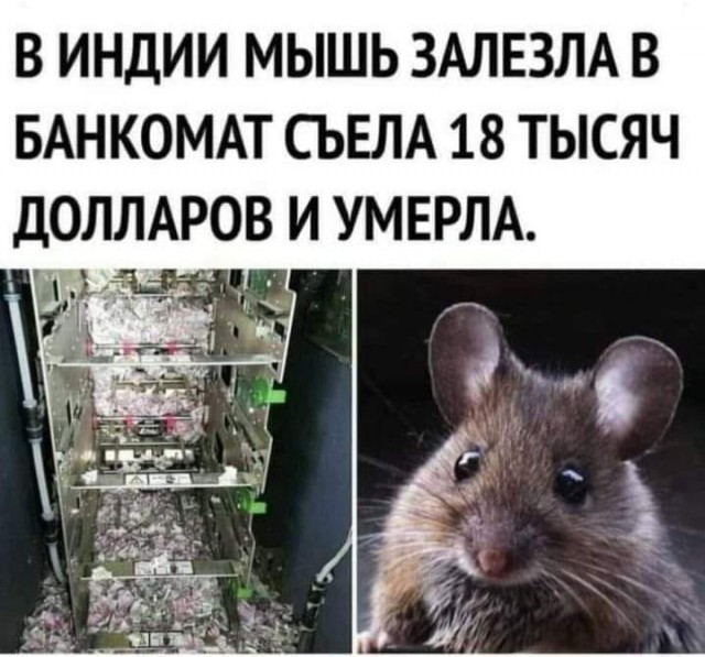 Бредзона 28.10.2020