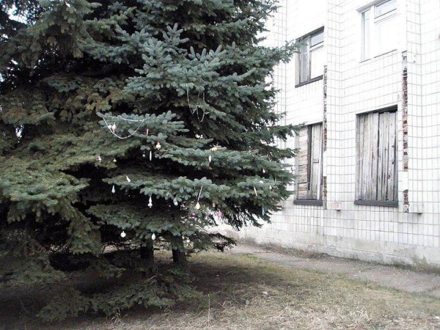 С приветом из Донбасса