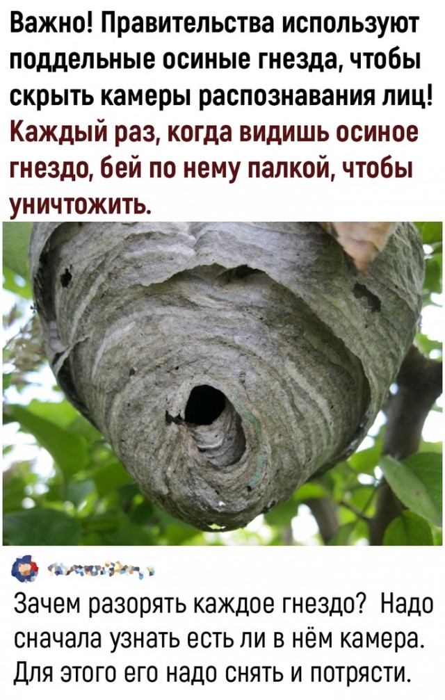 Так себе картинки 10.04.22