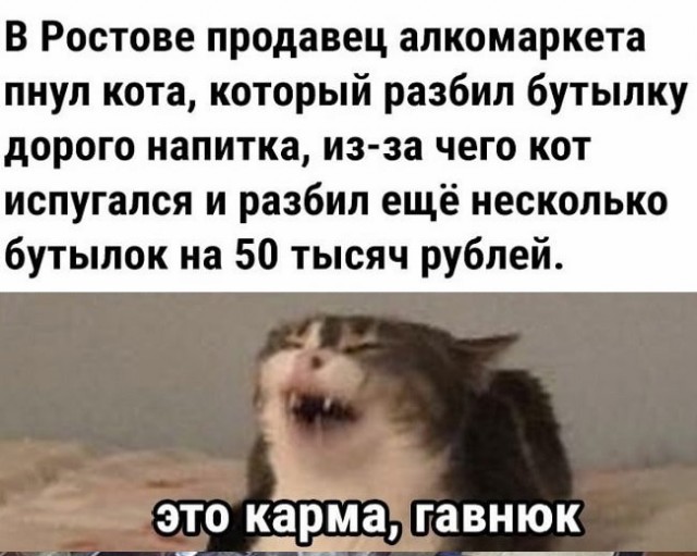 Картинки с надписями и всякие жизненные фразы