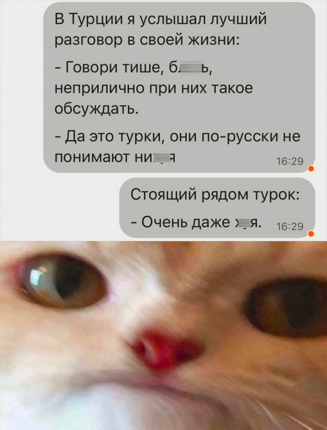 Так себе картинки 09.07.22