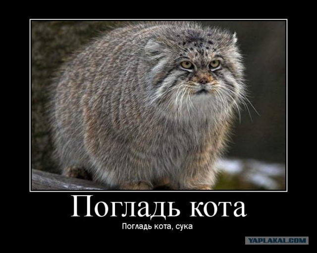 Вот кому завтра на работу не надо!