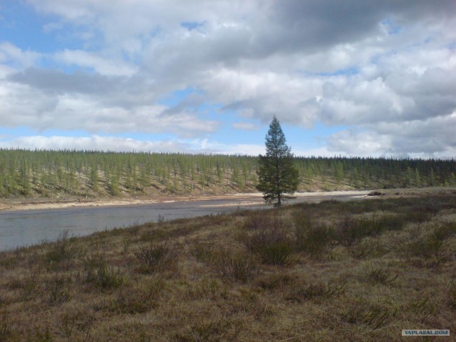 Небольшой рассказ о Севере