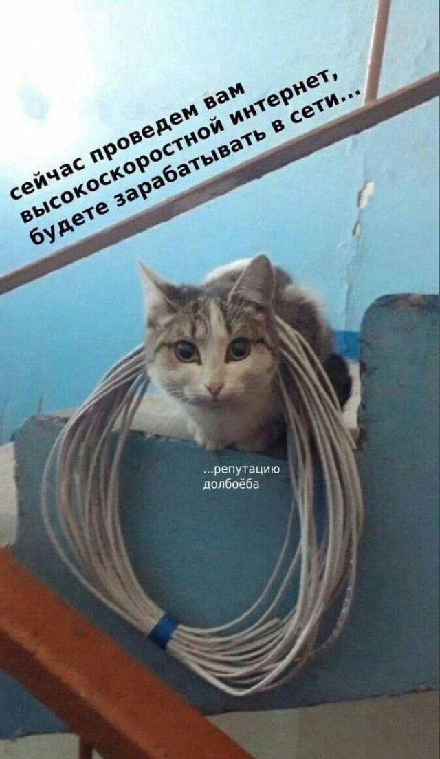 Добился своего