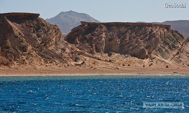 Синайские приключения. Шарм-эш-Шейх и окресности