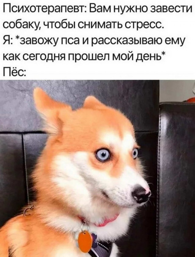 Картинки и мемы. Выходные близко...