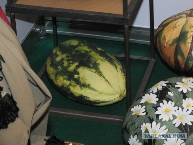 Каменные коты Маргариты.