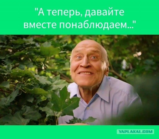 Начинается контрнаступление?