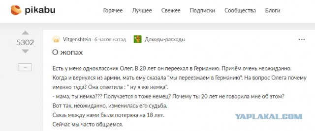 О ж*пах