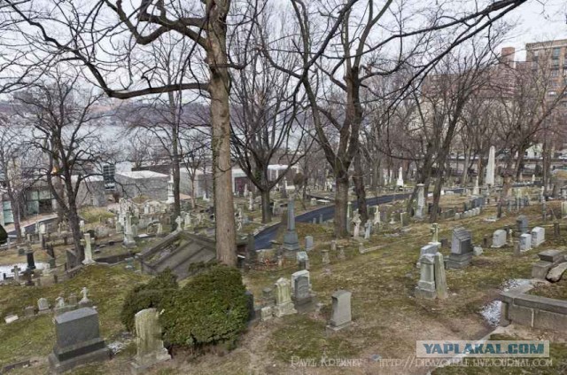 Гарлем (Нью-Йорк)