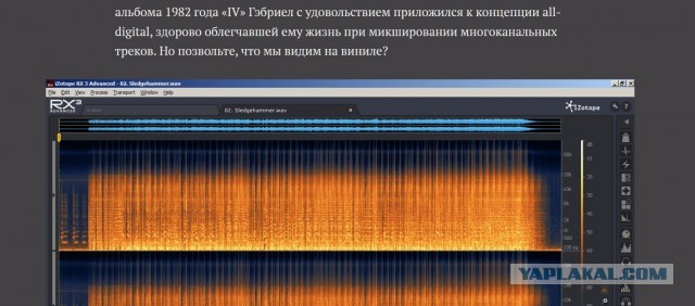 Массовое отравление собак
