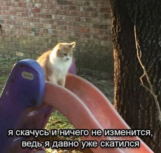 Так себе картинки 24.07.23