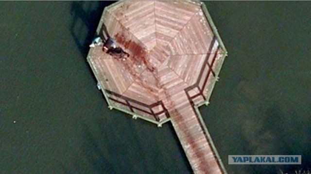 Знаете ли вы, что?..