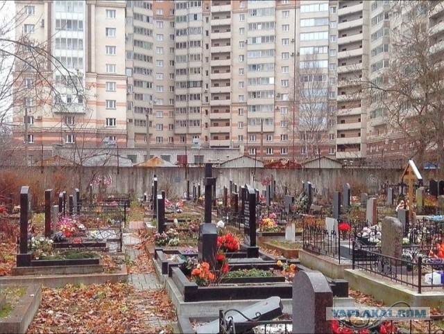 Кругом жмоты