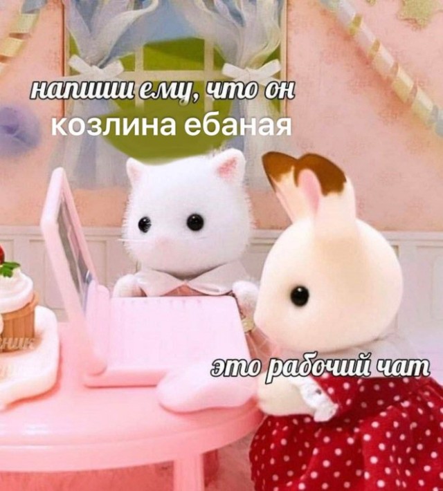 Веселые картинки к пятнице (20.09)