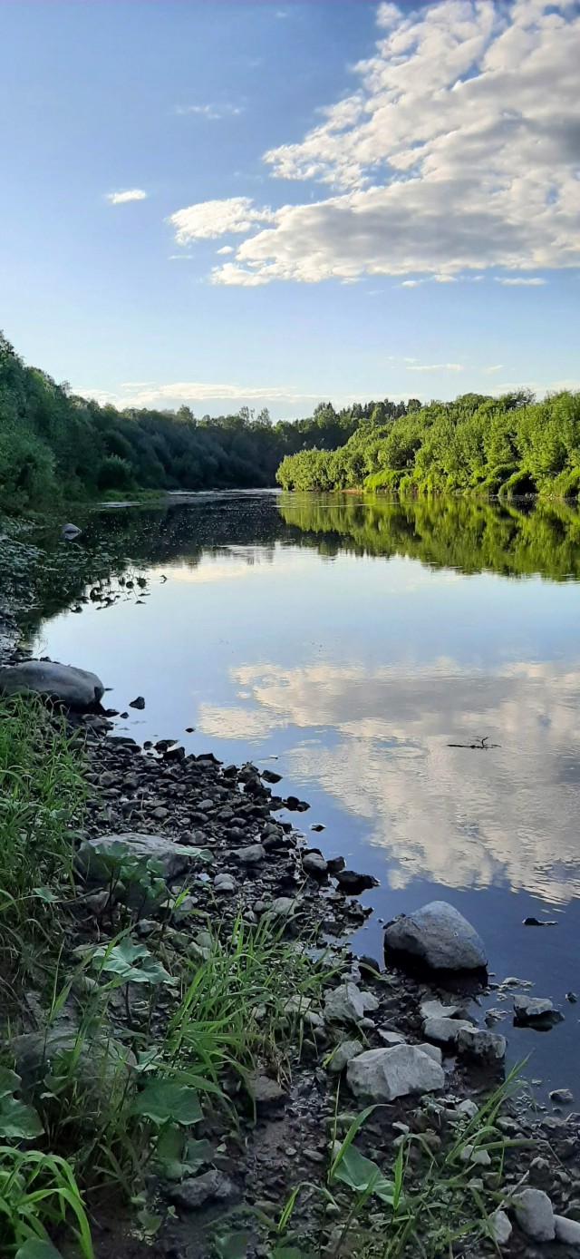 Фото с телефона