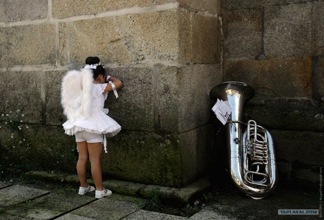 Festa Da Coca