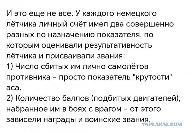 Девять сбитых Александра Горовца