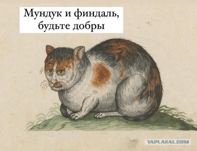 "-Нормально, Григорий? -Отлично, Константин! "