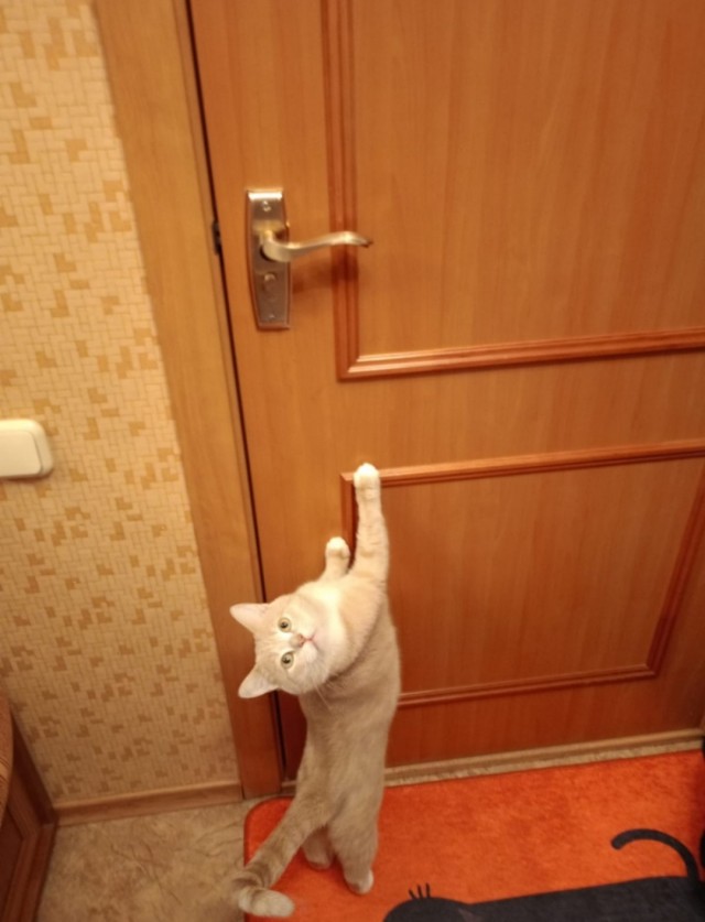 Четкий план нападения