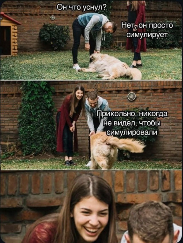 Картинки на кануне Рождества.