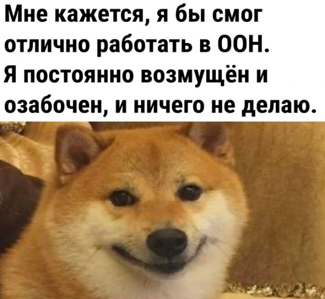 Генсек ООН предупредил о «неминуемом финансовом крахе» организации
