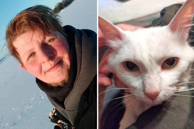 Друзья ищут кота Фаразона, которого хозяин оставил на передержке, а сам трагически погиб