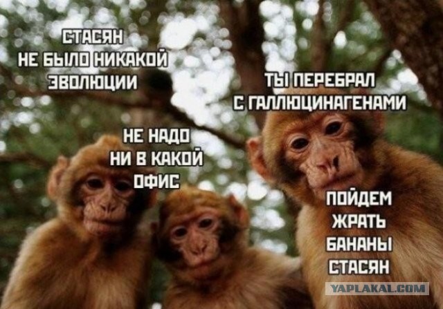 Картинки для деградации 173 (разной степени свежести)
