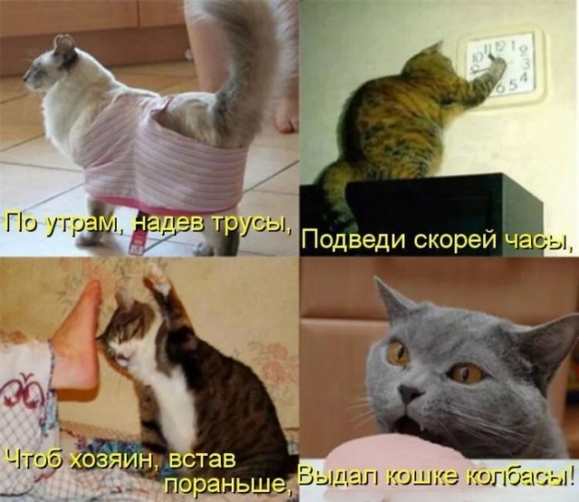 Картинки для деградации 299 (разной степени свежести)